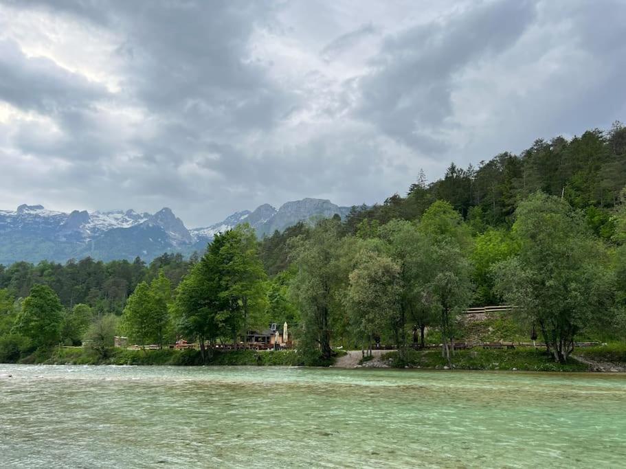 Apartma Jasna بوويتش المظهر الخارجي الصورة
